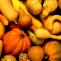 High Park Harvest Festival
