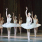 Swan Lake - State Ballet Theatre of Russia