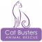 Valentine Cat Adopt-a-thon
