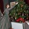 Christmas Time at Colborne Lodge